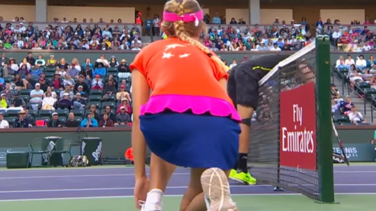 Čilić dobio poen, ali mnogi smatraju da nije trebao