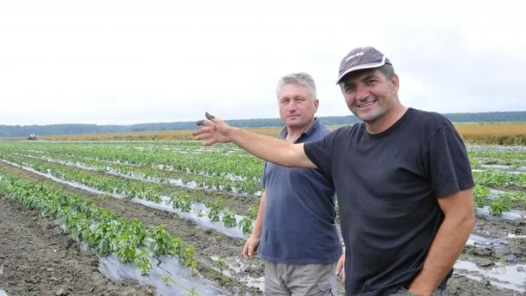 Svi su bili skeptični, no danas iznenađuju zaradom