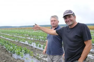 Svi su bili skeptični, no danas iznenađuju zaradom