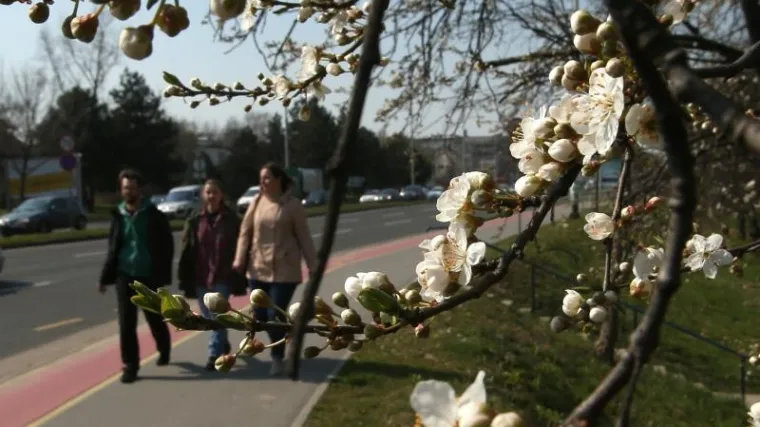 Evo kakvo nas vrijeme čeka za praznike!