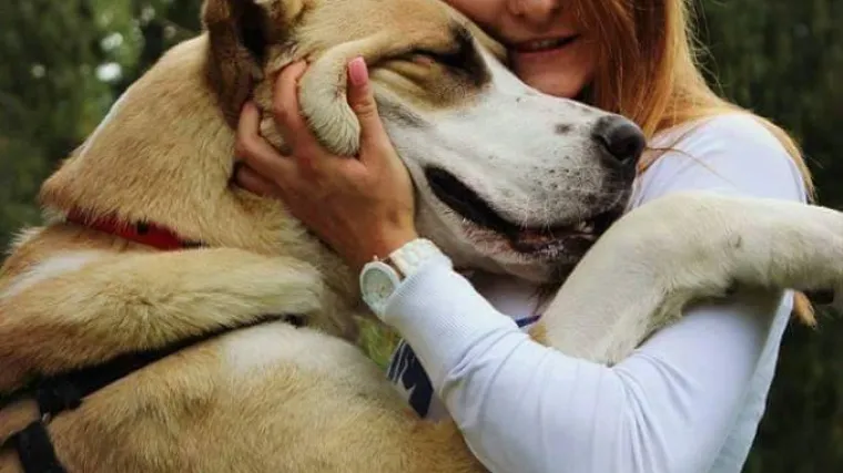 Ovoj djevojci su psi sve na svijetu, a svoj život je posvetila spa&scaron;avanju napu&scaron;tenih ljubimaca