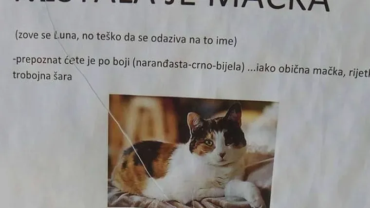 'Spasite i mačku i mene od sestre'