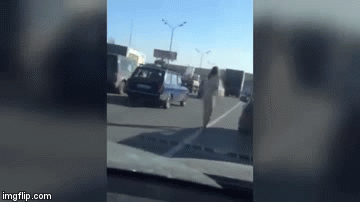 Snimali golu djevojku nasred autoceste, samo jedan vozač je pozvao hitnu