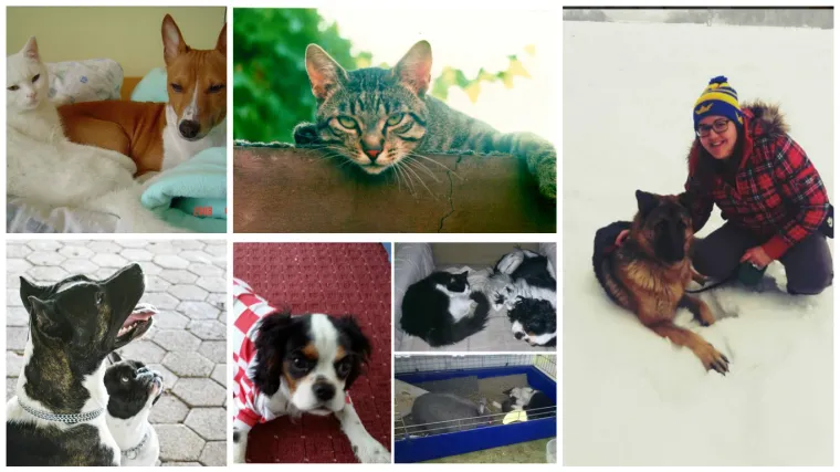 Veselo dru&scaron;tvo donosi sunce čak i kad je vani mračan dan