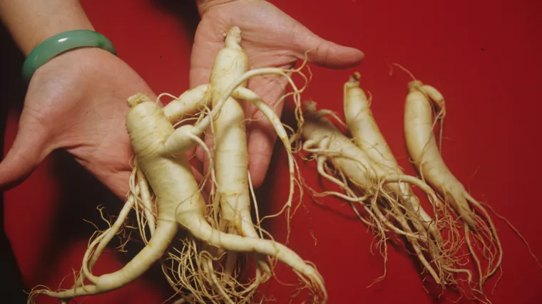 Muškarac zaražen HIV-om već 30 godina preživljava zahvaljujući jedino ginsengu