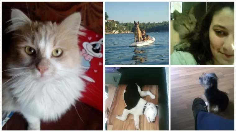 Ove ljepotice i ljepotani skrivaju doista neobične talente