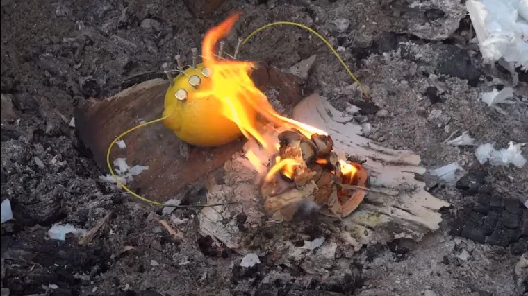 Zabili smo čavle u limun... i uspjelo je!