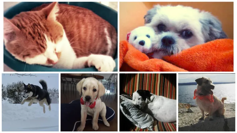 Eksluzivno! Dobili smo fotografije novog Jamesa Bonda - i presladak je!