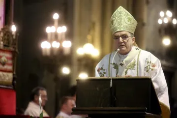 Bozanić: 'Zlo želi vladati medijskim svijetom, izumiranje Hrvata nije Božji plan za naš narod'