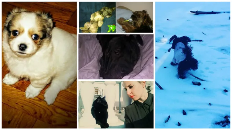 Izgleda da ni njima nije ba&scaron; najbolje sjelo pomicanje sata