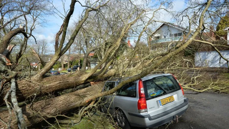 Stotine tisuća ljudi bez struje, orkanski vjetar nosio sve pred sobom