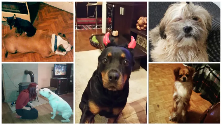 Dobili smo dokaz da poljubac stvarno pretvara žapce u prinčeve!