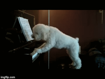 Sjeo za klavir i svojim talentom iznenadio ba&scaron; sve