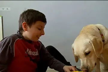 Početak divnog prijateljstva: autistični dječak Vlado upoznao labradoricu Bebu koja će mu olakšati život
