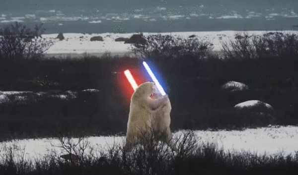 Sila je jaka u njima