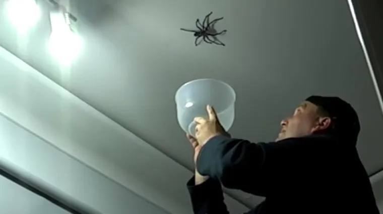 Ovom divovskom pauku se nimalo ne sviđa ideja zatočeni&scaron;tva