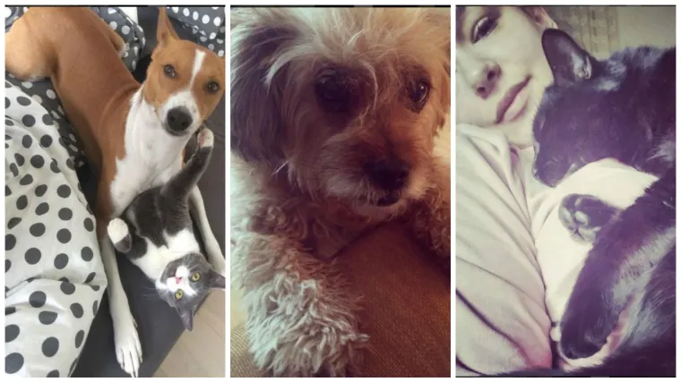 Ova ekipa lupa vi&scaron;e selfija od Kardashianki - tako i treba jer su ljep&scaron;i