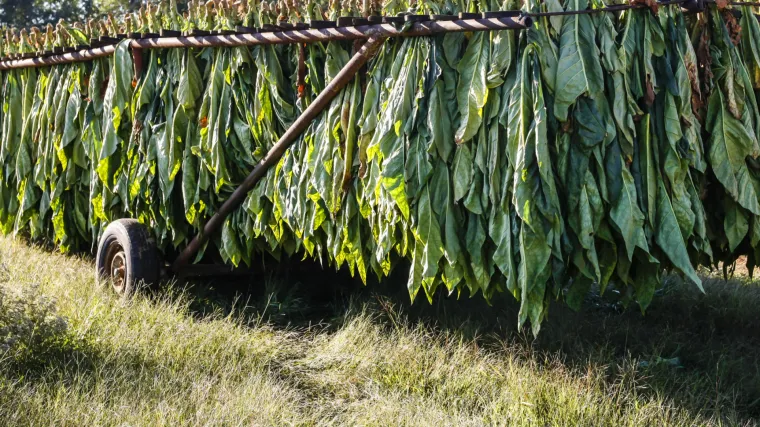 Duhan može imati i druge primjene, poput goriva za mlažnjake