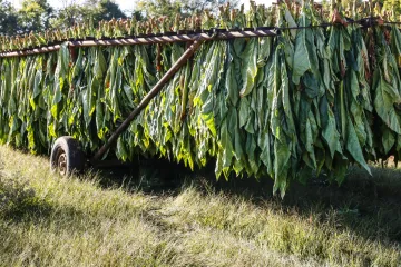 Duhan može imati i druge primjene, poput goriva za mlažnjake