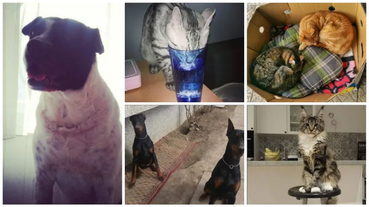 Ono kad je ponedjeljak, ne da vam se, a netko pored je pun elana...