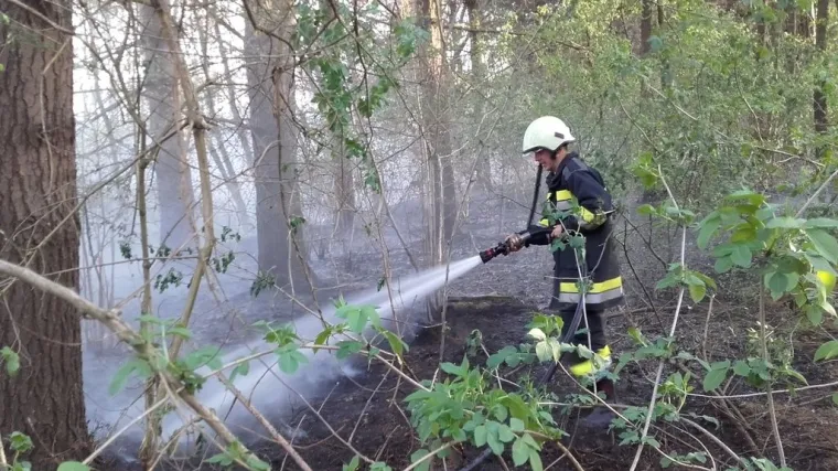 Vi&scaron;esatna borba s vatrenom stihijom u &scaron;umi kod Mačkovca