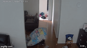 Ovakva uživljenost i domi&scaron;ljatost ne viđa se često