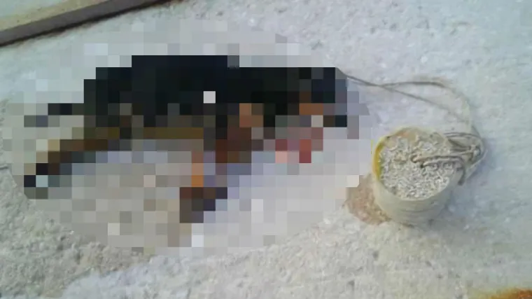 Vlasnica vezala svom psu betonski blok oko vrata i bacila ga u more