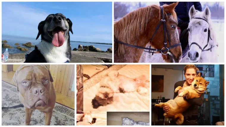 Ovi ljepotani jednim pogledom pi&scaron;u romane