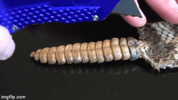 Izgleda da je mnoge zanimalo jer je video pogledalo preko 23 milijuna ljudi