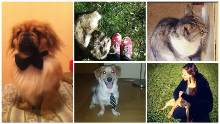 Izgleda da su se i oni uredili za izlazak u petak navečer