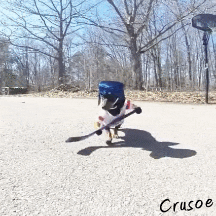 Najmanji hokeja&scaron;i na svijetu