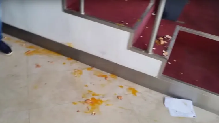 Pogledajte kako su navijači Partizana zasuli svečanu ložu