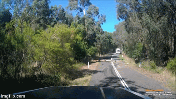 Sru&scaron;eno stablo izazvalo stra&scaron;nu nesreću, nekim čudom nema stradalih