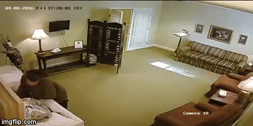 Kad su se vratili, imali su što za vidjeti