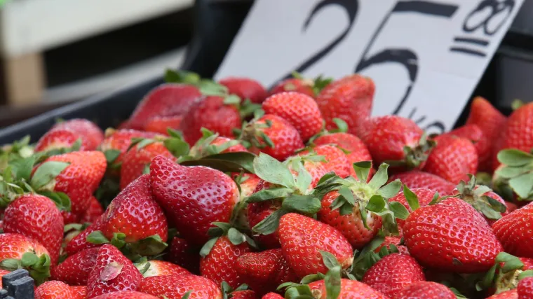 Vrgoračke jagode već danima na hrvatskim tržnicama, no uzgajivači tvrde: 'To je prevara!'