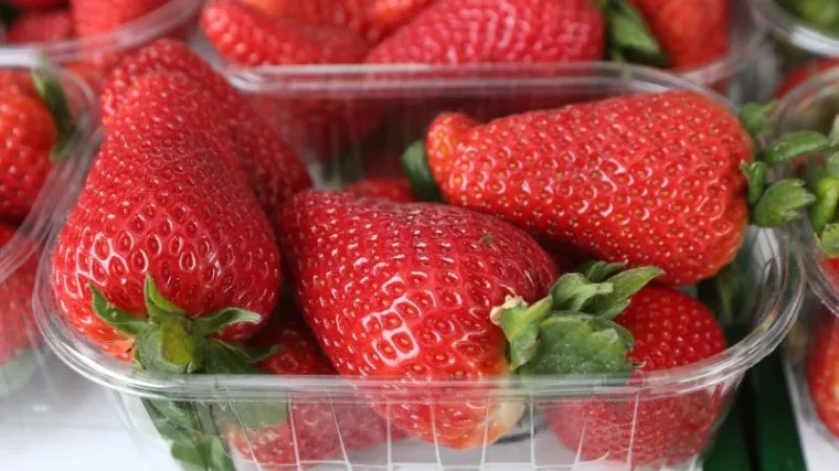 '&Scaron;panjolske jagode poku&scaron;avaju vam prodati kao na&scaron;e. Ne nasjedajte!'