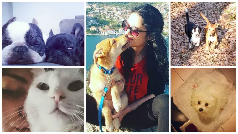 Neki jedva čekaju probuditi gazde, a neki drijemaju koliko god mogu