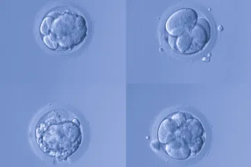 Znanstvenici stvorili miševe 'aliene' kako bi dokazali da ljudi mogu zatrudnjeti u svemiru