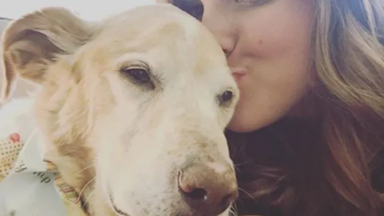 Labrador obolio od raka pa mu vlasnica priu&scaron;tila posljednji mjesec iz snova