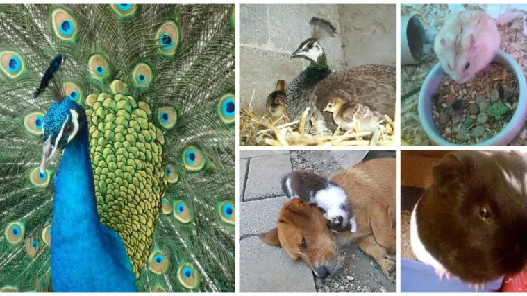 Danas činimo iznimku, a vidjet ćete i kakvu i  za&scaron;to - i odu&scaron;eviti se