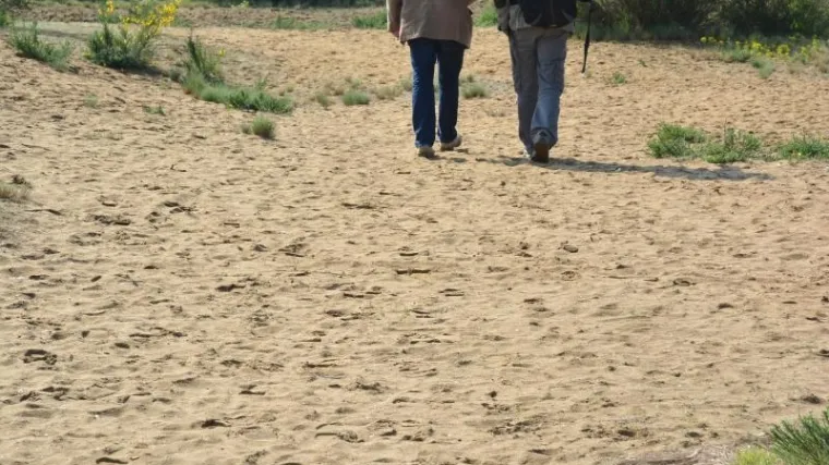 'Hrvatska Sahara' postaje svjetska atrakcija: u svoju ponudu uvodi jahanje deva