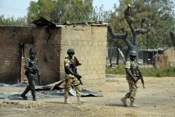 Boko Haram veže bombe za ptice koje siju smrt