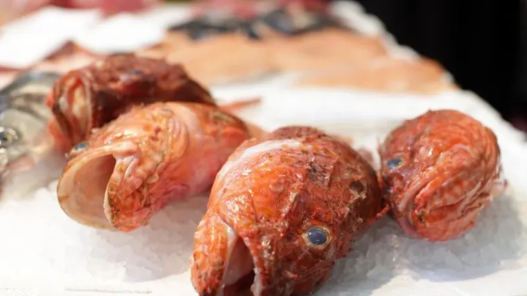 Hrvati jedu smrznutu ribu iz uvoza za koju misle da je domaća