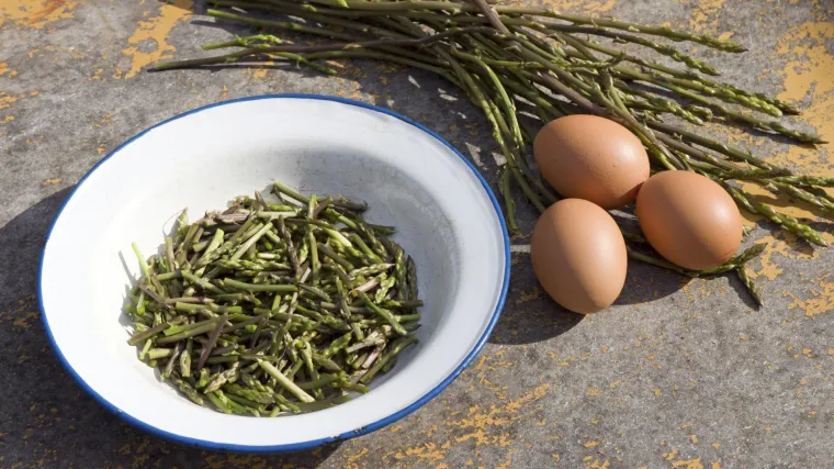 Kraljica krša na vašem tanjuru: kajgana sa šparogama odličan proljetni ručak