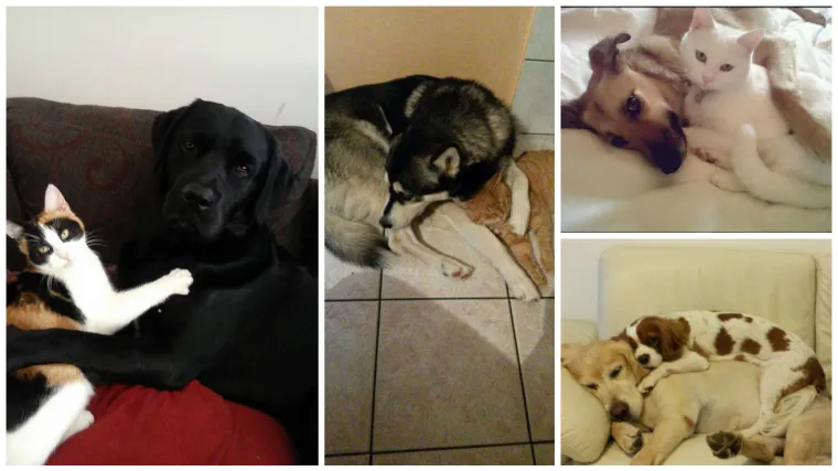 Ljubav ru&scaron;i sve prepreke, ovi parovi to i dokazuju