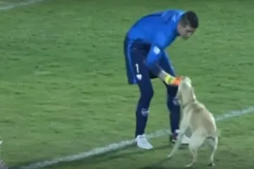 Evo zašto je prekinuta utakmica Cope Libertadores