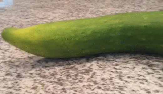 Pazi, čudovi&scaron;te!