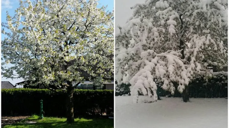Ponegdje je palo i 40 centimetara, deset tisuća ljudi ostalo bez struje