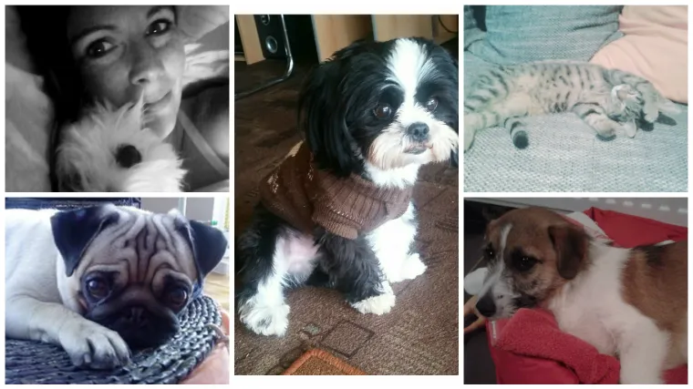 Bećari, &scaron;okice, Međimurci, Podravci - danas je dan za preslatke kontinentalce