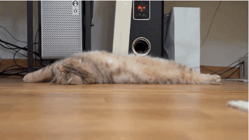 Onda morate isprobati kombinaciju mačke i balona